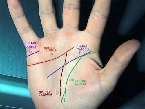 Ձեռքի ափի մեջ այս գծից ոչ բոլորն ունեն. ահա, թե ինչ է այն նշանակում
