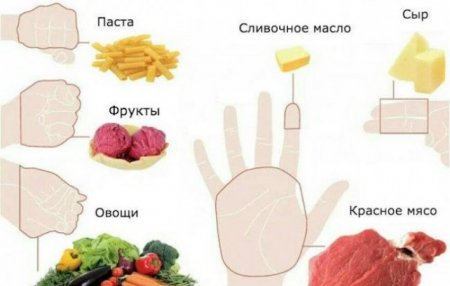 Հաշվեք մատների վրա․ որքան սնունդ է անհրաժեշտ ամեն օր