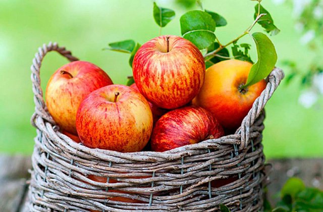 Խնձորով դիետա, որը կօգնի մեկ շաբաթվա ընթացքում ազատվեք 4 կիլոգրամից առանց առողջությանը վնասելու